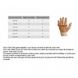 GT-GANTS5-GANTS FR